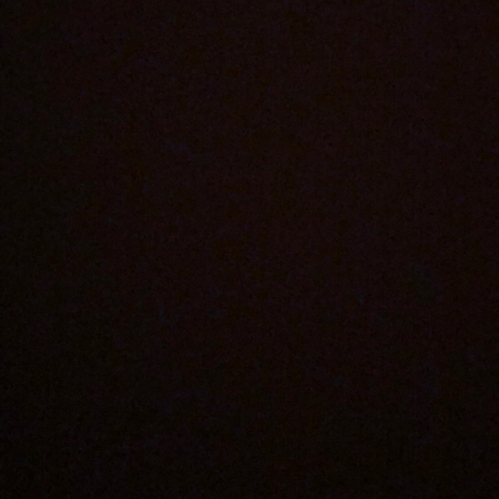 Meet your Posher, Isabel